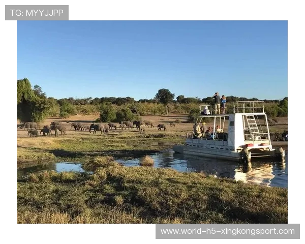 纳米比亚高原骑马比赛吸引众多骑手，纳米比亚自驾游