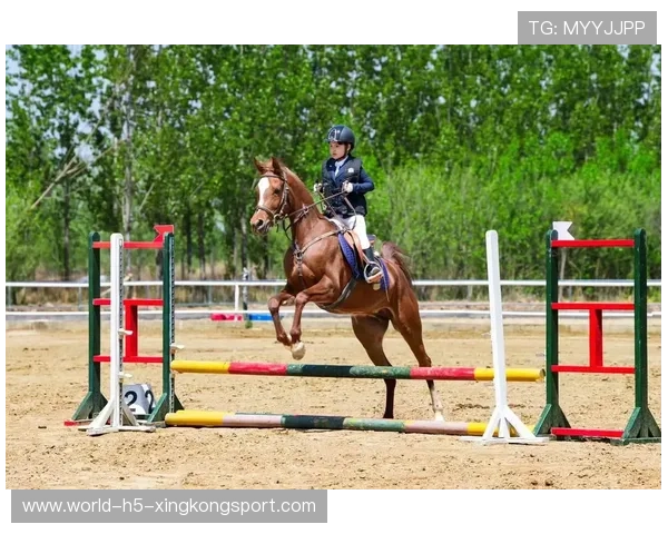 青少年马术训练课程引入心理素质培养环节，少儿马术培训